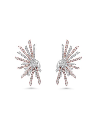 Eclat Two-Tone Rose & white 18K Diamond Earrings une grave pollution 