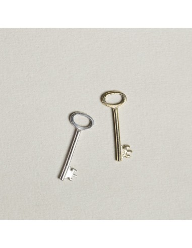 Key Charm in Silver or Gold pas chere